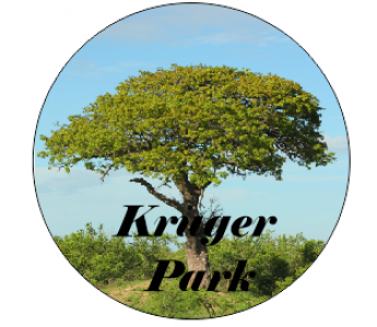 Kruger Tree